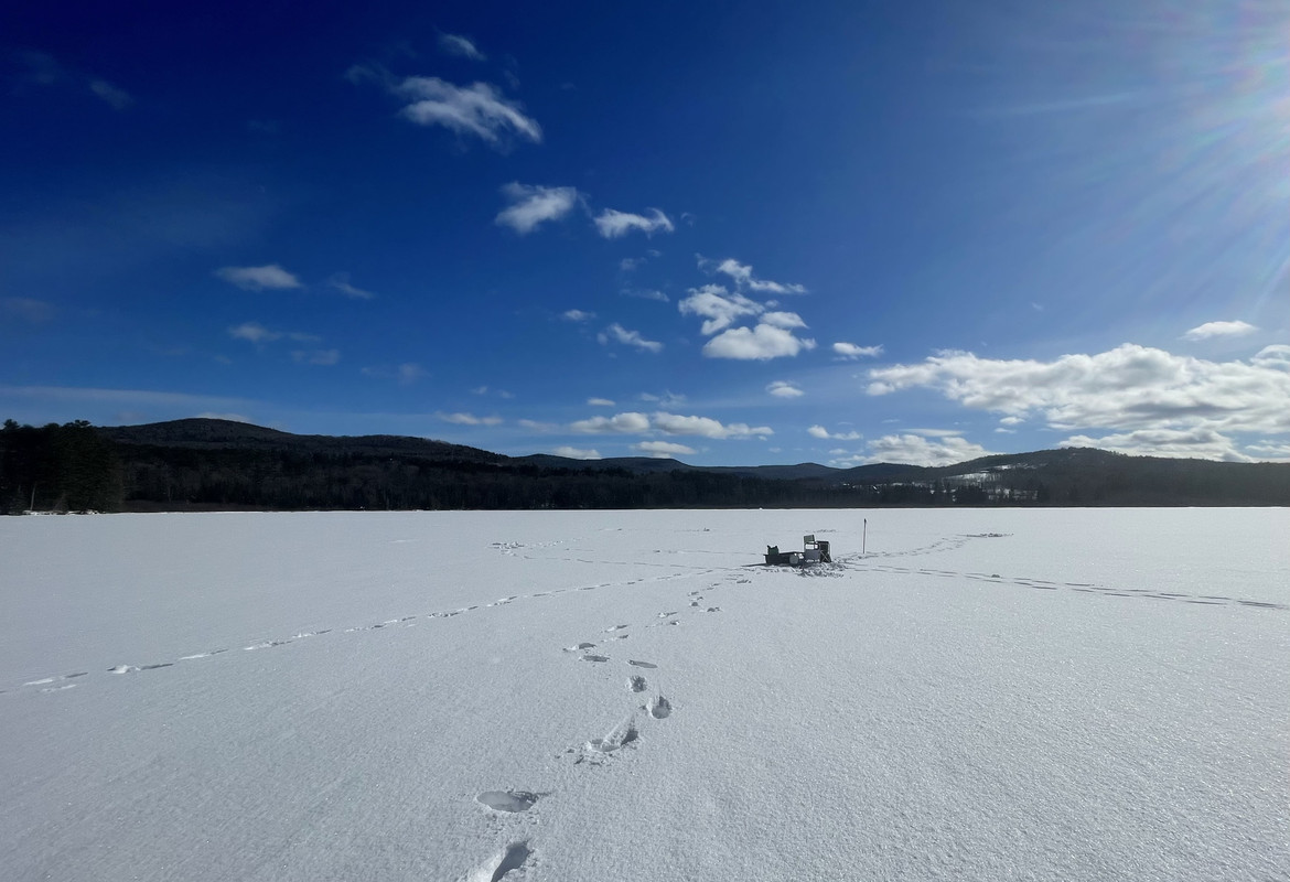 D1EEDC1E-ED20-41CB-8411-70A7BEE6F916