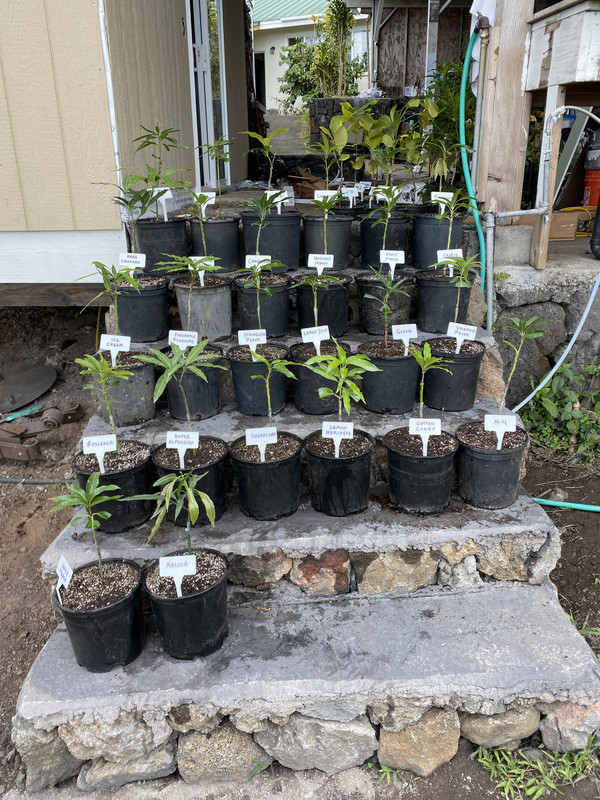 30A7AD72-9E31-425E-A982-011D8FFEDFE6