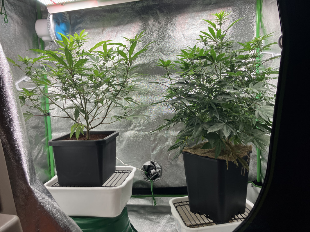 7A38B76B-80CC-4D80-BF1D-03A2AF86B85A