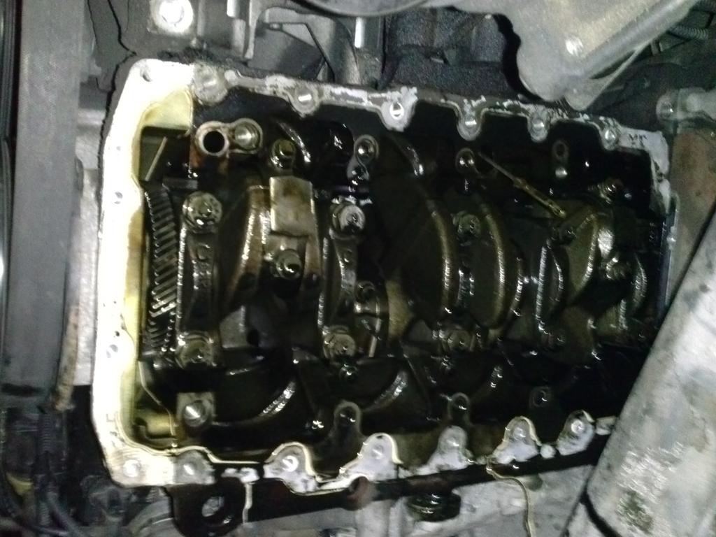 CAM04079.jpg