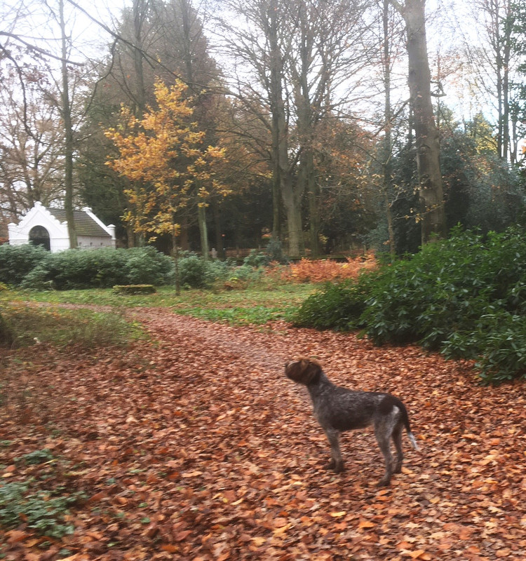 2024-26-11 Claire en eekhoorn IMG_4480 (002)