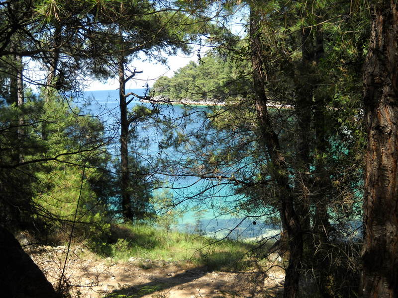 Slika