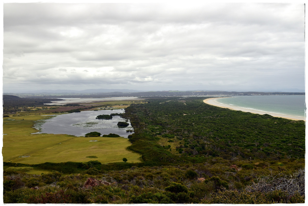 Narawntapu National Park - Australia (II): Recorriendo Tasmania (11)