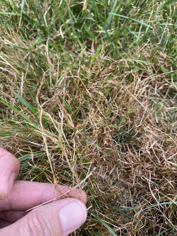 84AAC513-D33F-49C3-8CA1-73BEFB641507