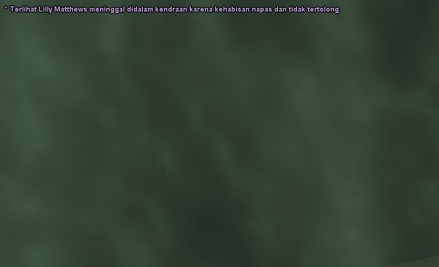 ss-20.png
