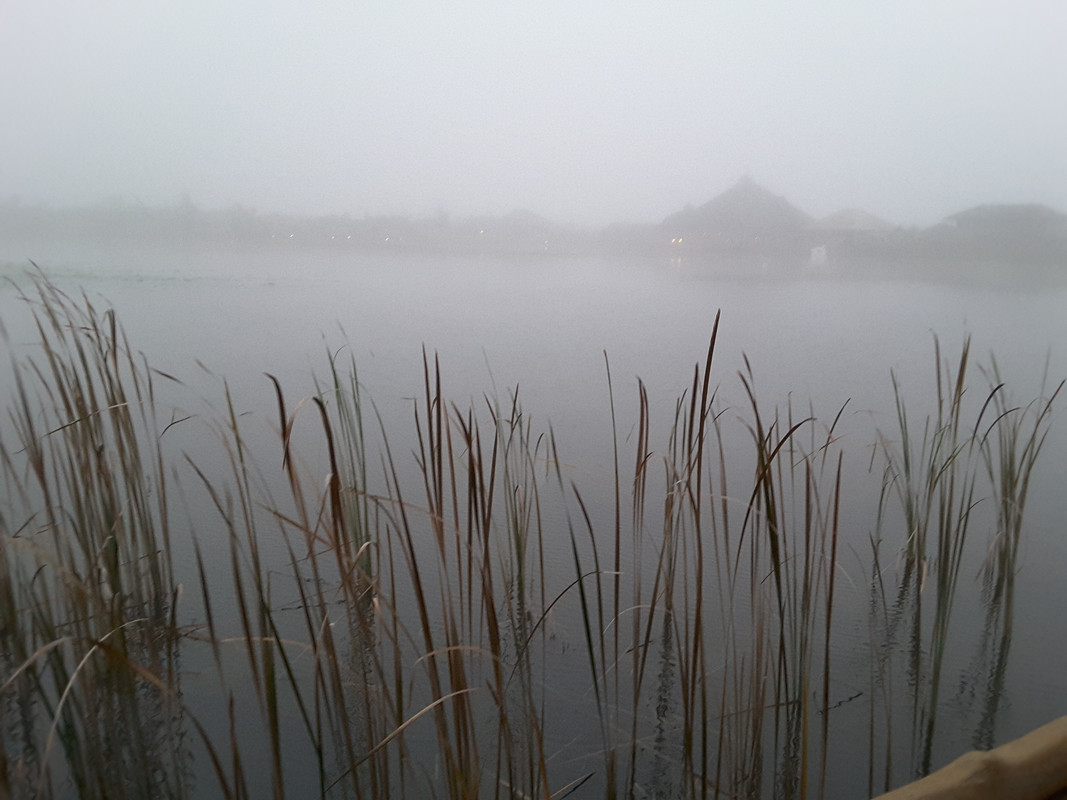 20161113_023339