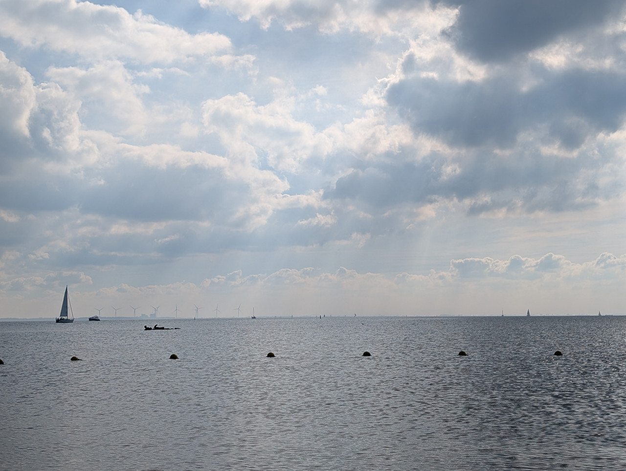 Трое в Амстердаме, не считая собаки. Переезд в Нидерланды.