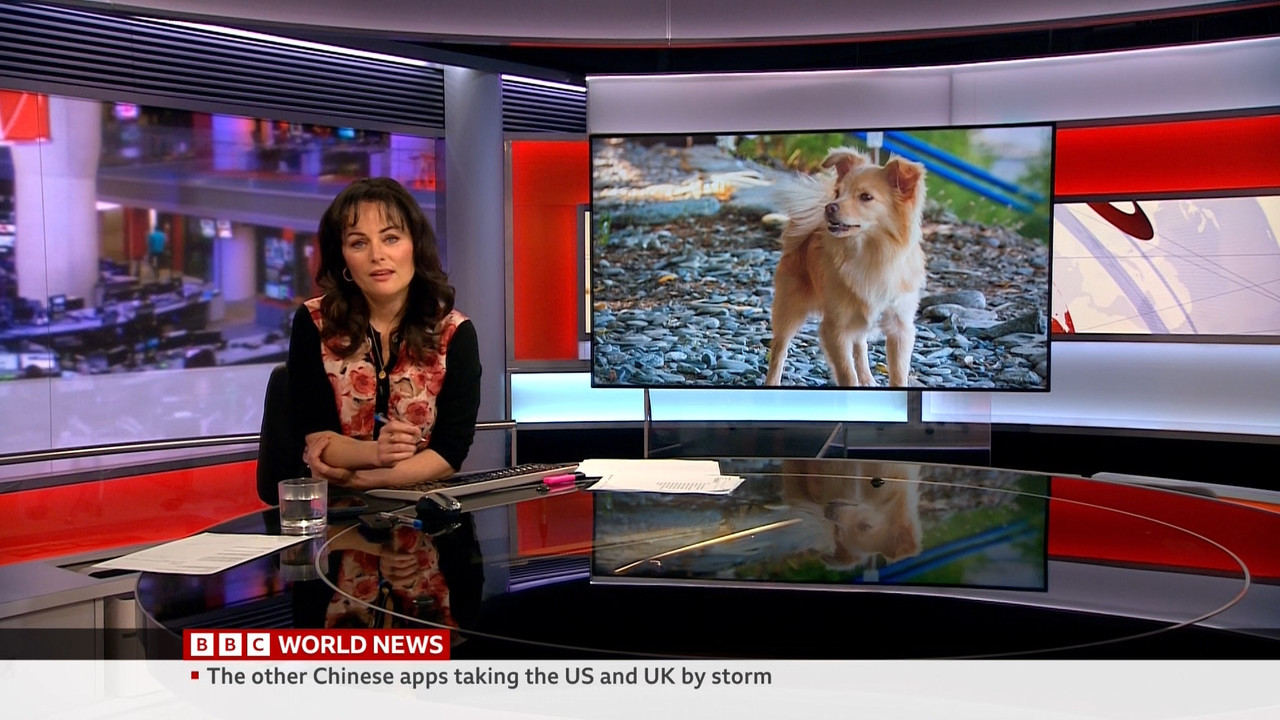 04.03 - 05.30.00 - World Business Report. Business news..ts_snapshot_24.10.080
