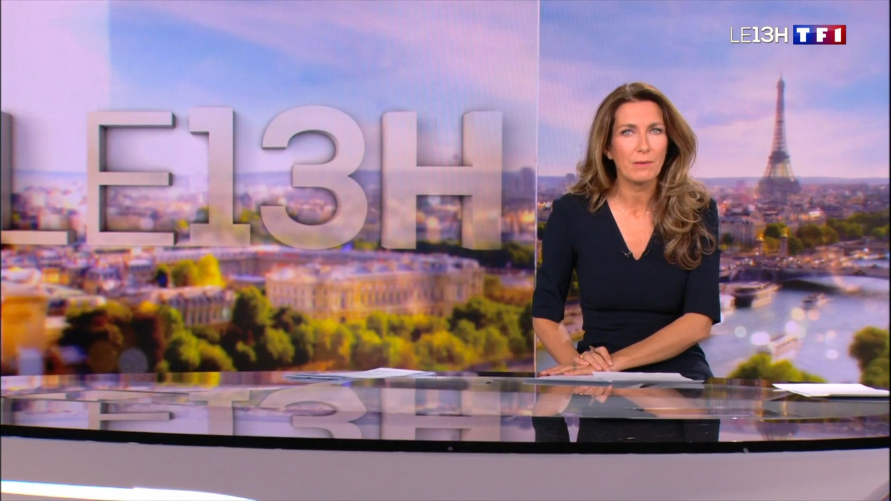 2022-11-20_13_00_TF1_Le-13h.mp4_snapshot_16.30.700