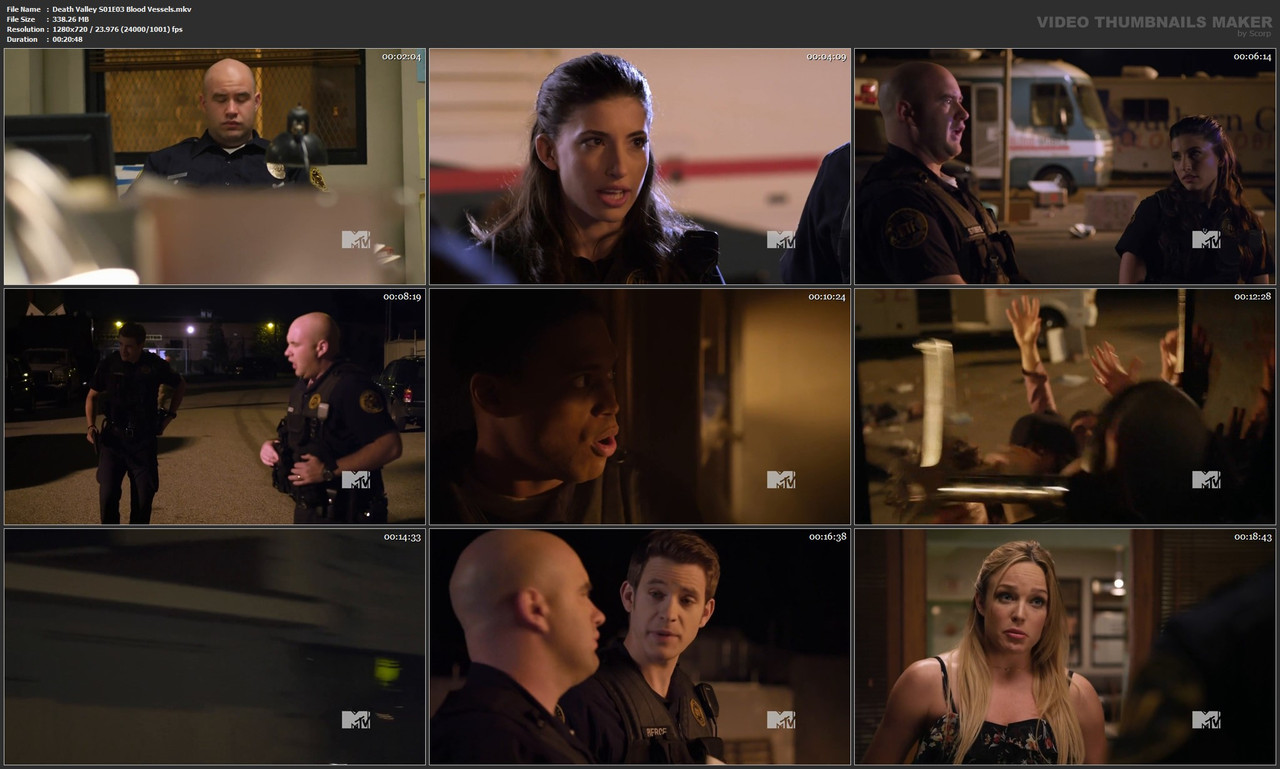 Death Valley S01E03 Blood Vessels.mkv