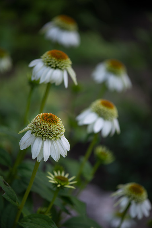 IMG-a6b8545905ca9d24c136d39d34d916d0-V