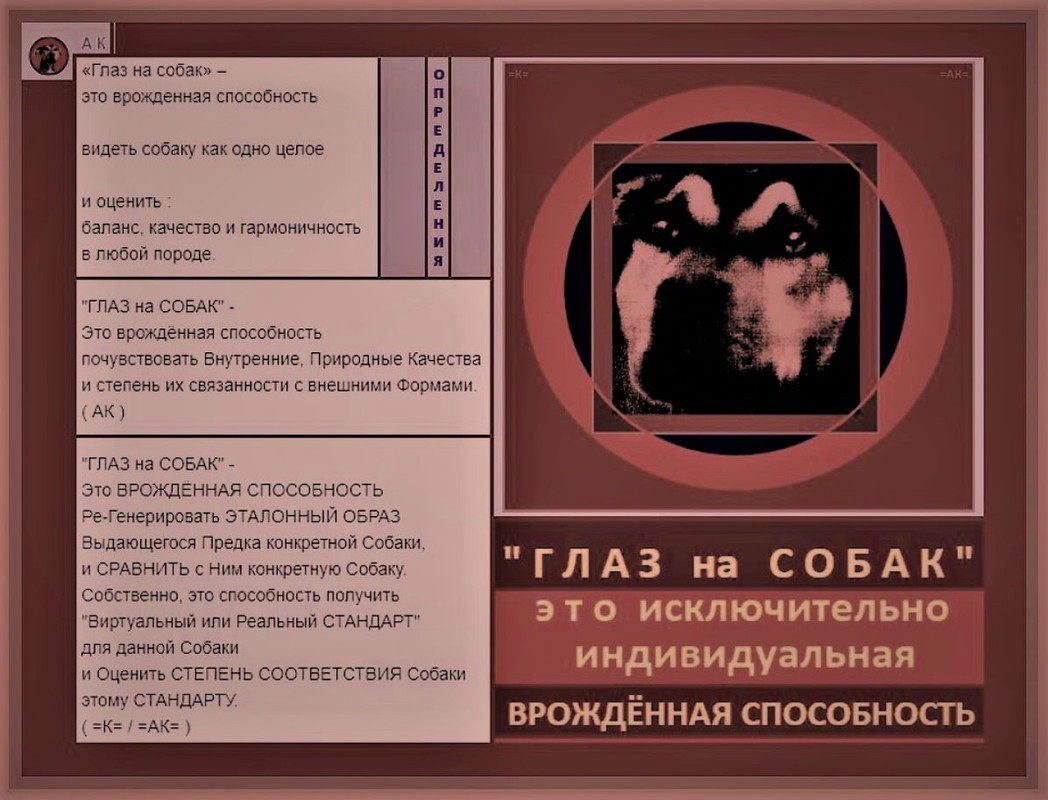 9i ГЛАЗ на СОБАК Врождённая способность 2