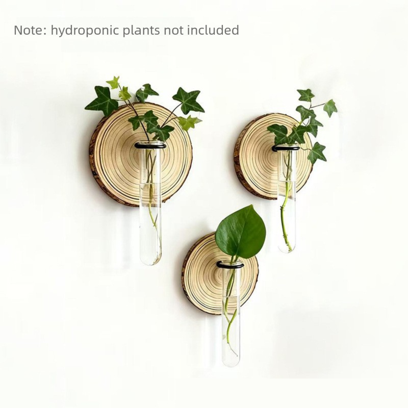 3-Pack Wall-Mounted Hydroponic Plant Test TubeFlower Pot for Indoor Plants & Cuttings