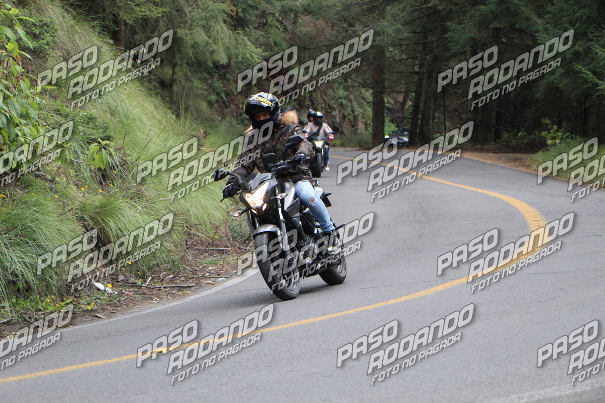 IMG 7507 wm 2115706 8999999994 watermarked — Postimages
