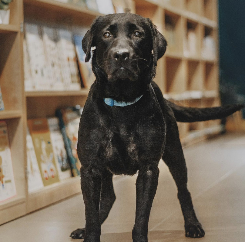 8A0CFB13-478E-47C7-8D59-0D9C723E1737