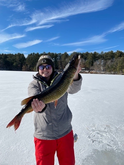 Baileywpickerel