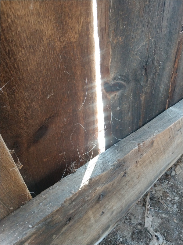 IMG_20180509_103606418