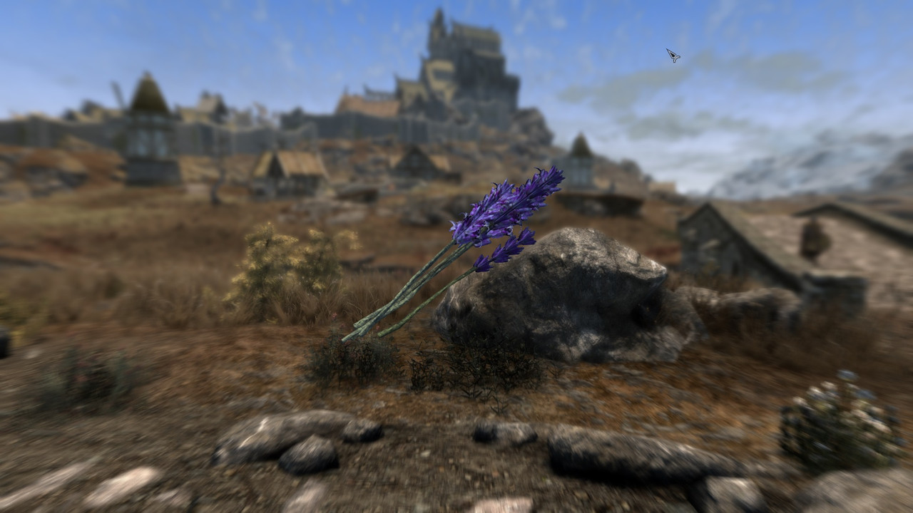 The-Elder-Scrolls-V-Skyrim-Special-Editi