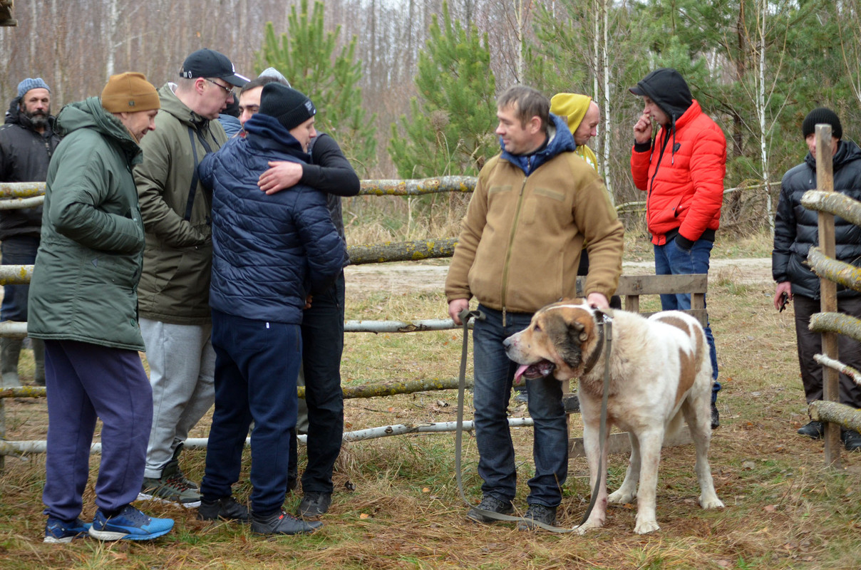 Награждение Халка (1)