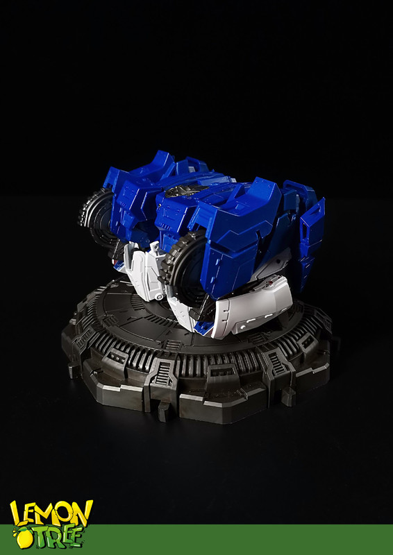 Lemon-Tree-LT-04BLUEBERRY-4