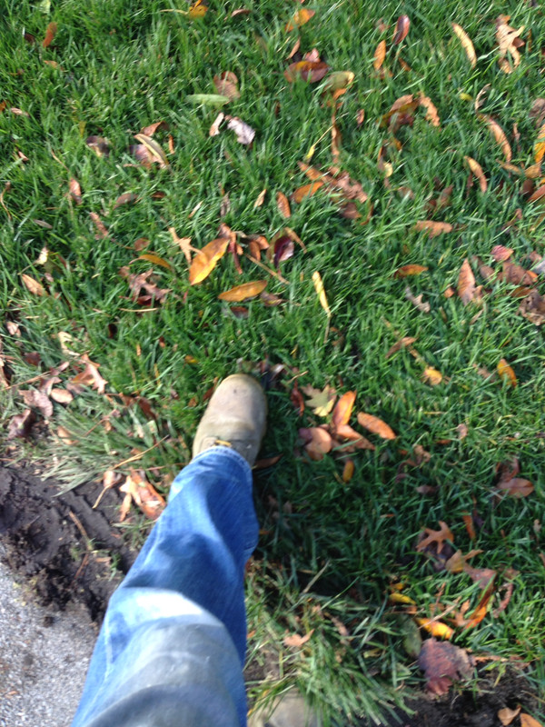 0DCE8337-2EB1-42C5-A23B-CDD14754BCDD