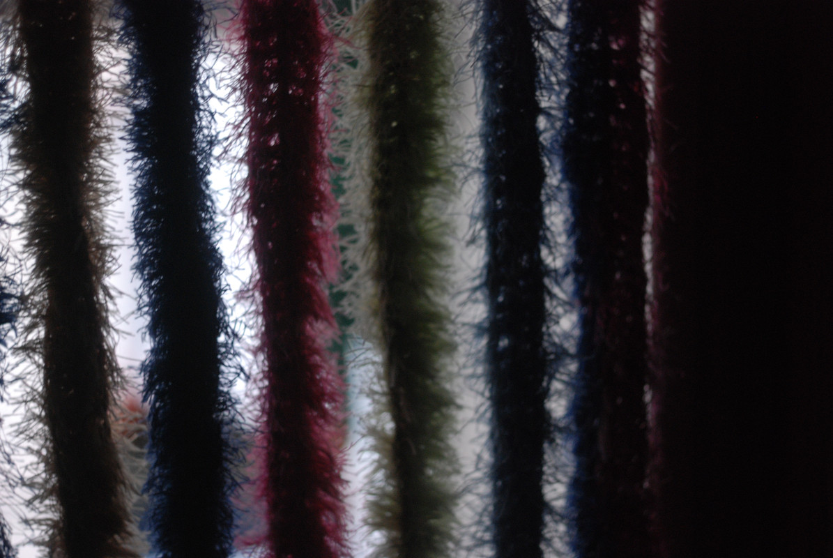 DSC 5007 — Postimages