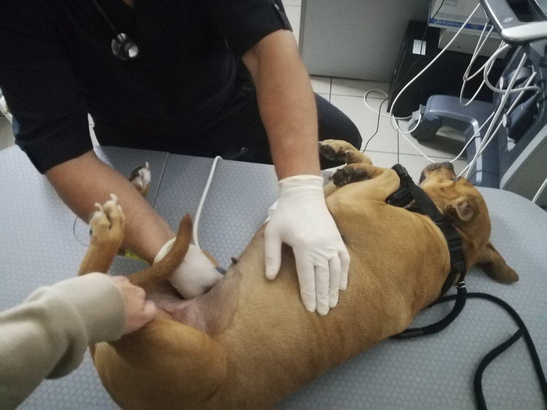 4BF00B49-B926-4F2D-AC7D-0C3BEECCEAD5