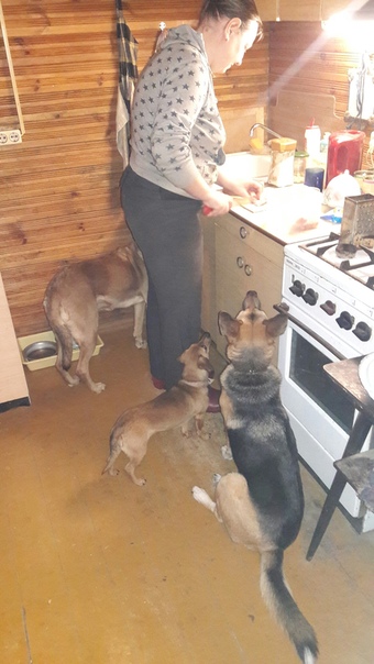 8A313E52-A4FD-4B06-8C12-148DD74F0A45