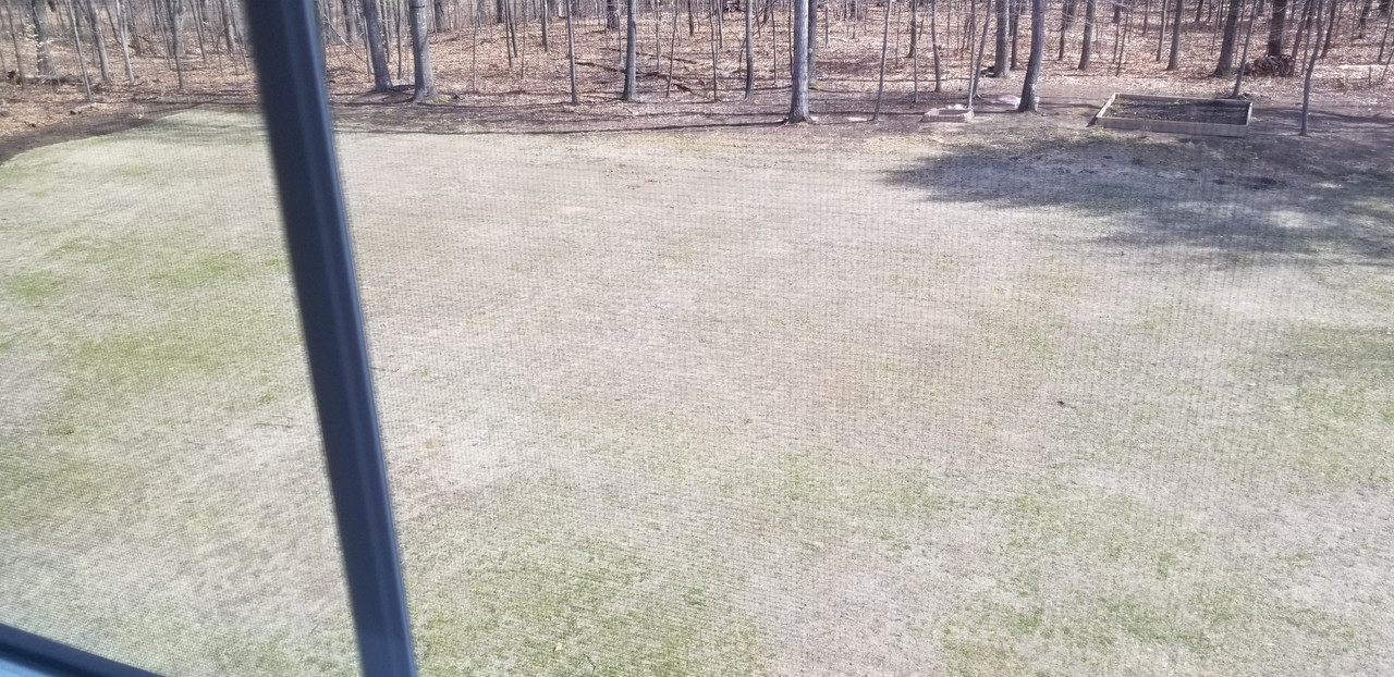 image-20190413_111419