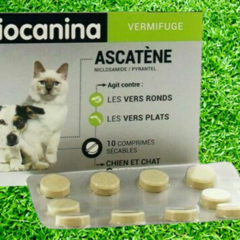 Biocanina Ascatene Vermifuge Chien Chat Protection Boite De 10 Comprimes Notice Ebay