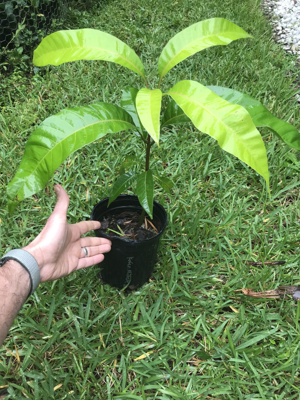 34EB8B21-2D95-4ECE-BB94-CF4531ECA061