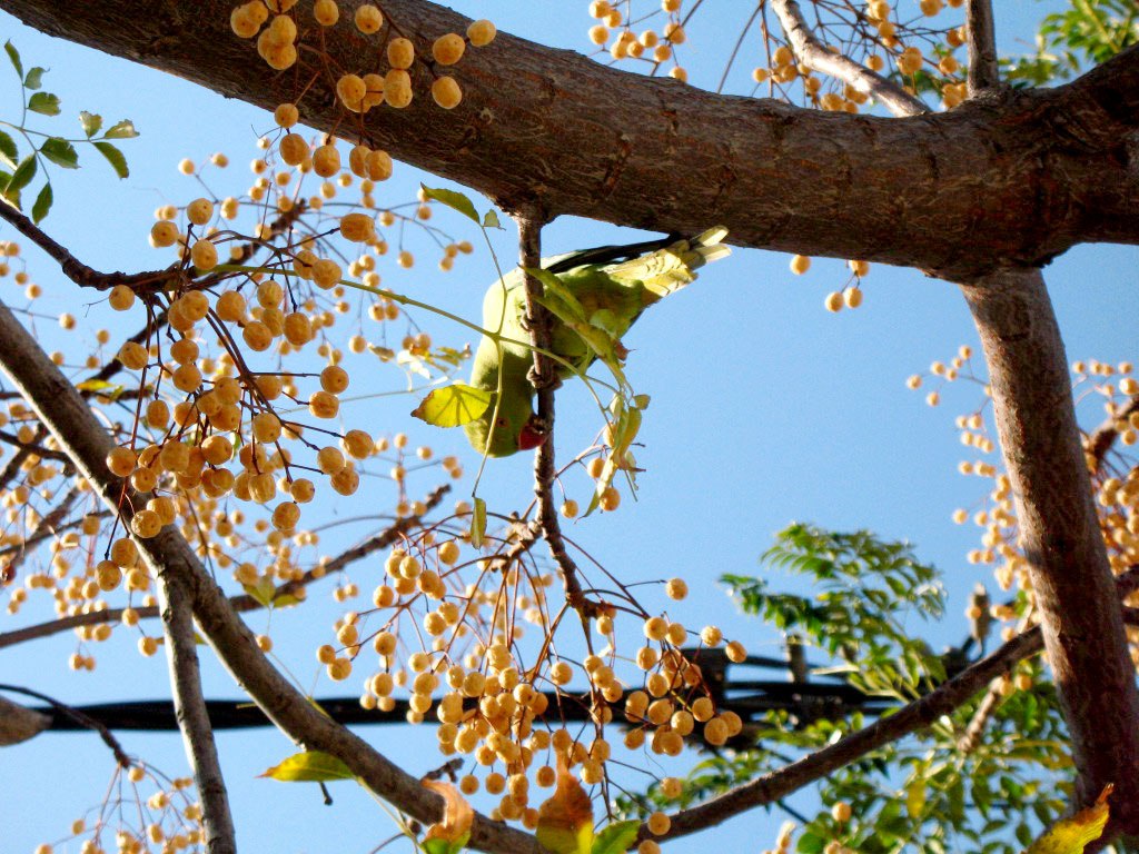 IMG_20220129_145452_688