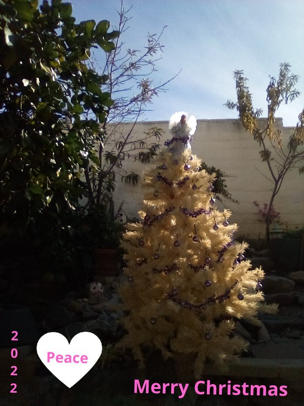 [Image: IMG-20221117-130207-kindlephoto-66789415.jpg]