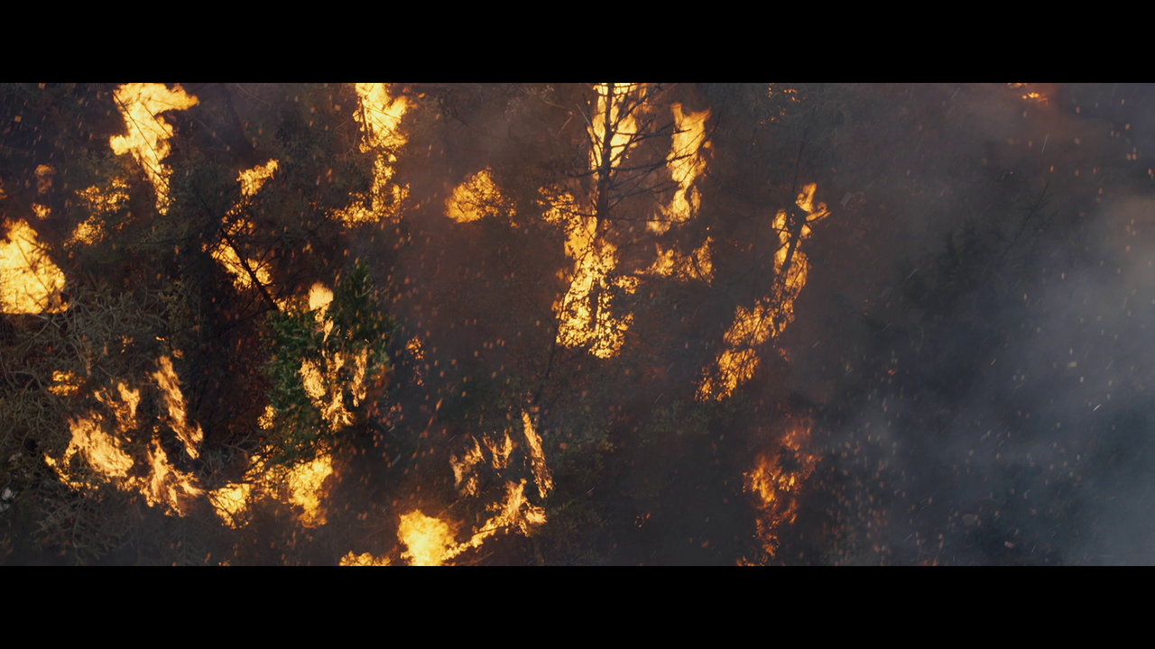 vlcsnap-2023-01-10-15h23m18s380