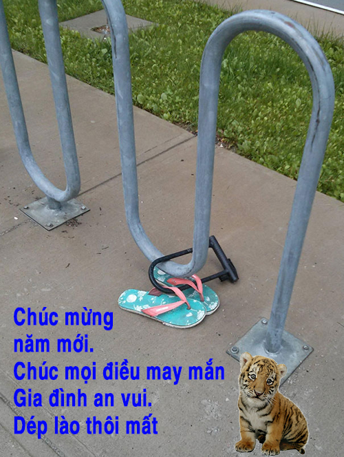 [Image: tn.png]