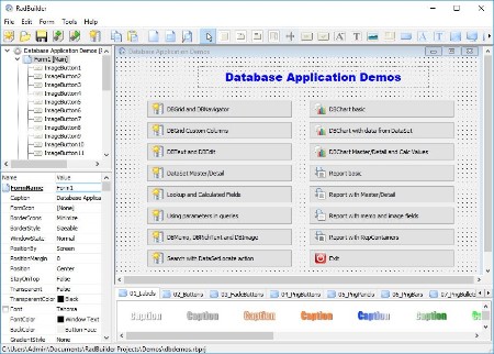 Longtion RadBuilder 4.9.0.490