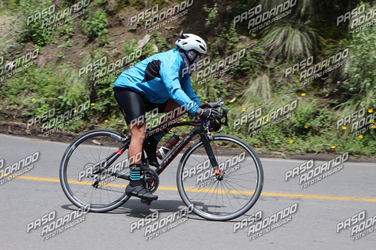 IMG 4159 wm 4281084 6 watermarked — Postimages