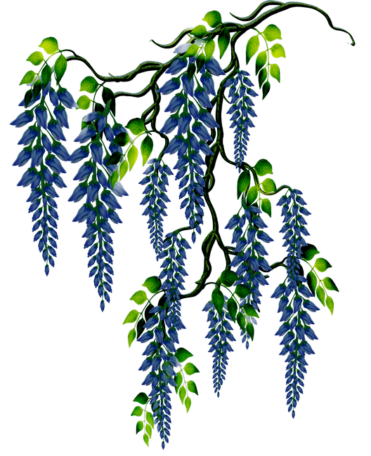 PeacockDreams_MM_Element (93)