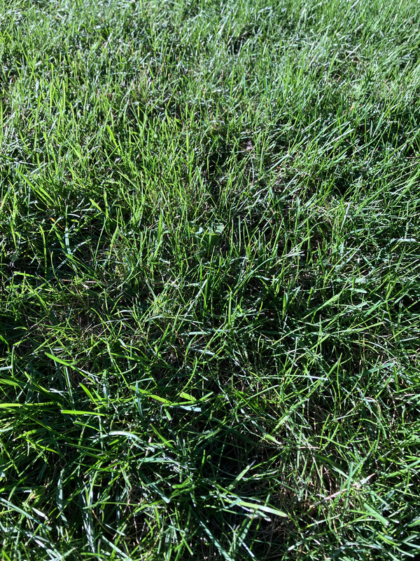 3D8FFF24-6A6A-4CCE-8CB6-FFCD3DD340B7