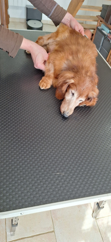 [Image: 20250307-150110.jpg]