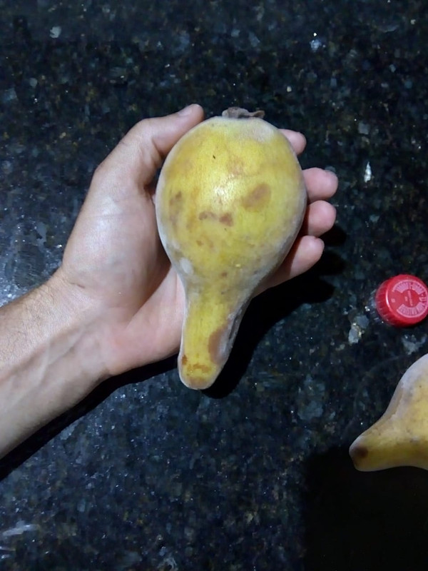 WhatsApp Image 2020-12-20 at 01.12.32 (8)