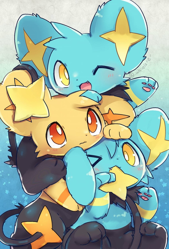 shinx-pokemon-drawn-by-choko-sweetpocket