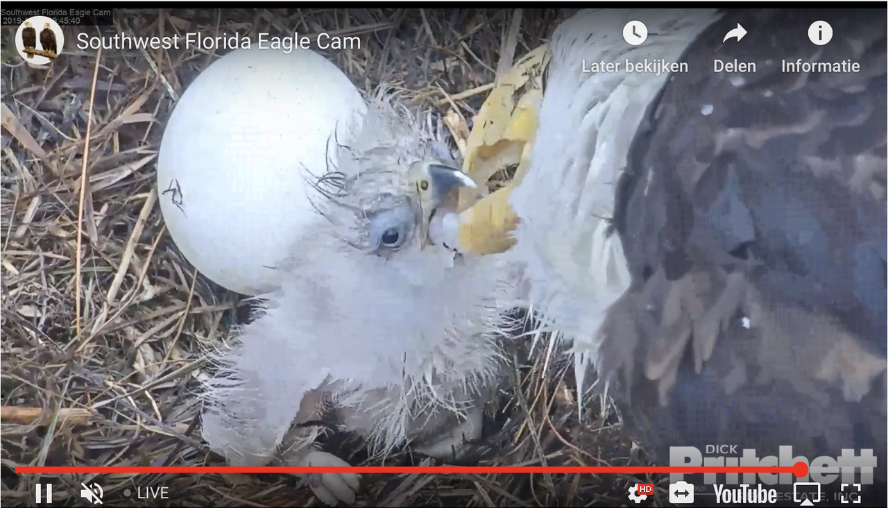 Zuid-West Florida 20191222-02 om 16.45.50