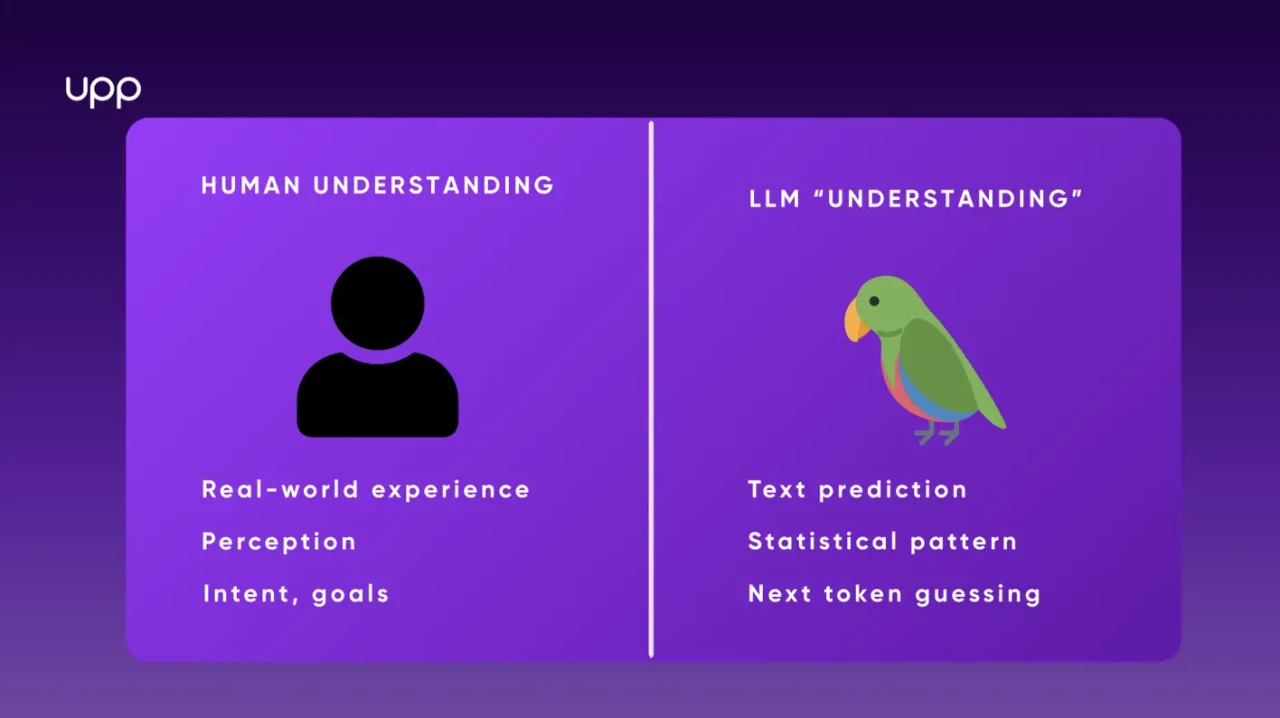 Differences between human understanding and LLM "understanding"