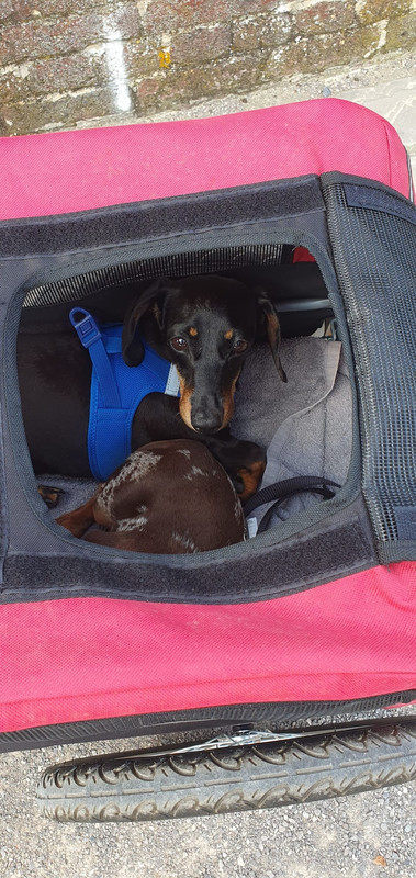 [Image: IMG-20230816-WA0004.jpg]