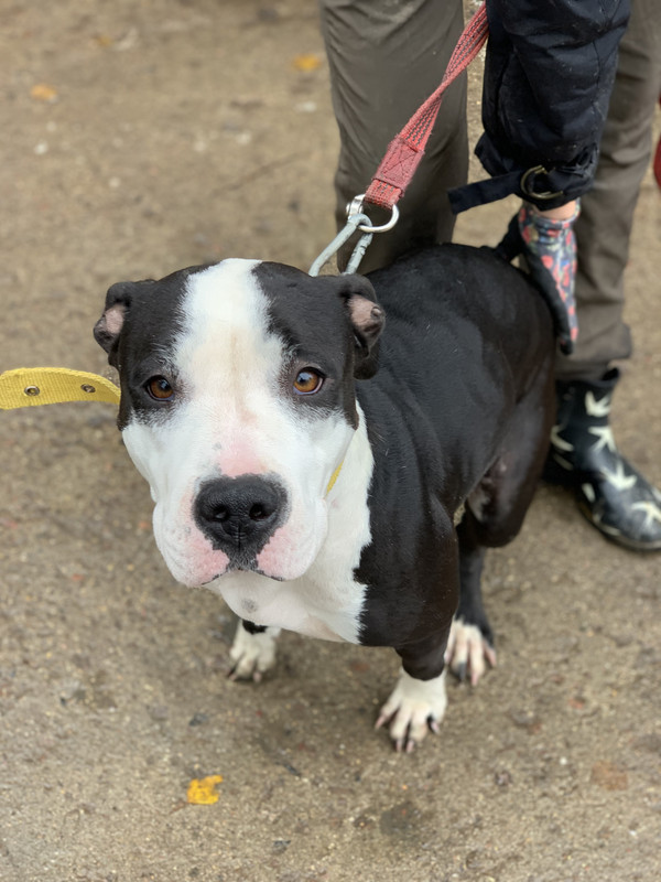 8162F4E2-1170-4F72-86E9-6E56F1F378E4