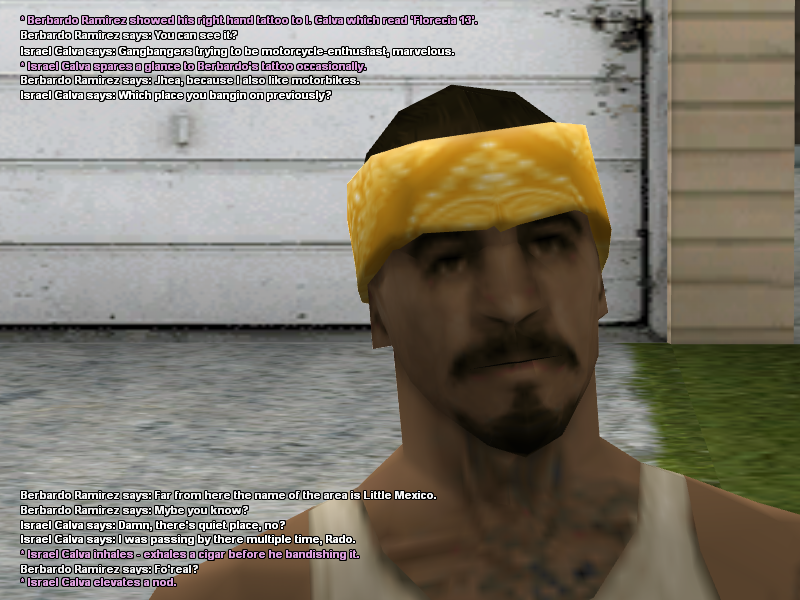 SS3.png