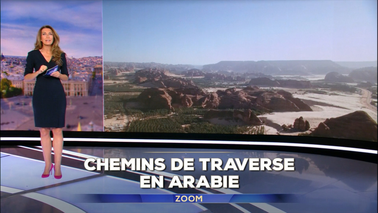 2022-11-20_13_00_TF1_Le-13h.mp4_snapshot_04.51.073