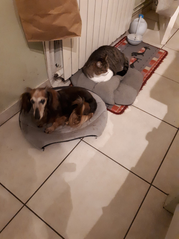 [Image: 20201129-195928.jpg]