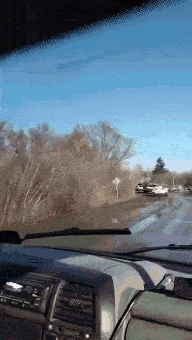 https://i.postimg.cc/tCXf3WGd/video-2026-06-03-06-55-14-(1)-(2).gif